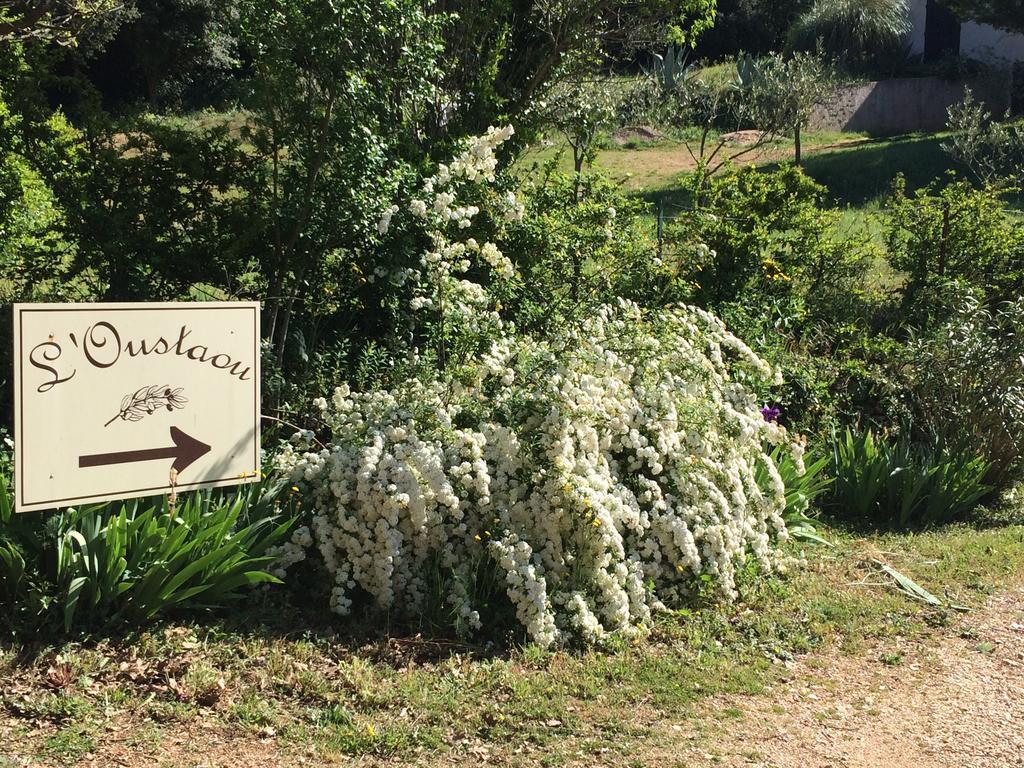 L'Oustaou B&B Piscine & Spa Besse-sur-Issole Exterior foto