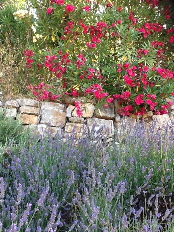 L'Oustaou B&B Piscine & Spa Besse-sur-Issole Exterior foto